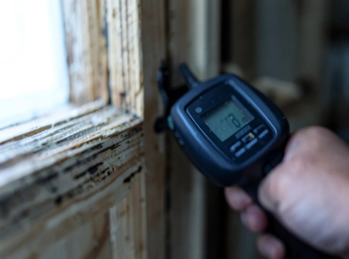 Moisture Inspection And Documentation in Fort Necessity, LA